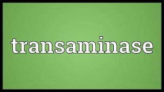 Transaminase Meaning [upl. by Alwin]