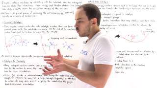 Mechanisms of Enzyme Catalysis [upl. by Burhans416]