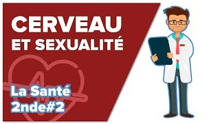 Cerveau plaisir sexualité  SVT  SANTÉ 2nde 2  Mathrix [upl. by Annoirb]