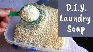 DIY Laundry Soap Powder with Handmade Soap Base [upl. by Artied]