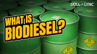 What is BIODIESEL  SkillLync [upl. by Hairacaz358]