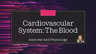 Anatomy and Physiology Cardiovascular System  The Blood [upl. by Hadnama]