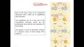 Tautomerization of bases [upl. by Cello804]