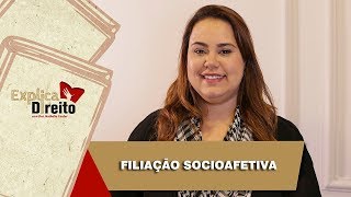 Explica Direito Filiação Socioafetiva  2019 [upl. by Leonard]