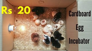 How To Make an Egg Incubator at Home  Cardboard Box Egg Incubator  Egg Hatched [upl. by Muhammad964]