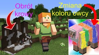 Jak zrobić kolorową owcę w Minecraft [upl. by Goldshell]