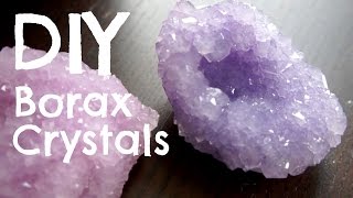 How to Make Borax Crystals [upl. by Chrystel491]