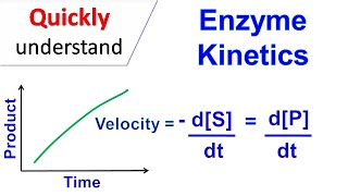 Enzyme kinetics [upl. by Dowell781]