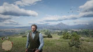 Spawn War Horse Cheat  Red Dead Redemption 2 Cheats [upl. by Liane]