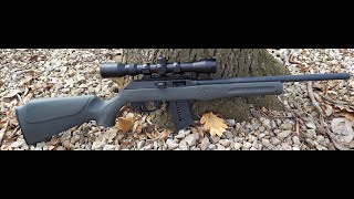 Rossi 22m 22Mag 500rd Update and Customizing [upl. by Shelagh]