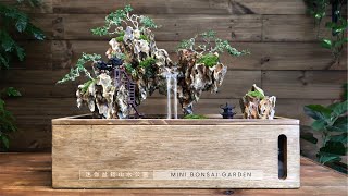 Making a mini bonsai garden with Pondless Waterfall [upl. by Ayekin]