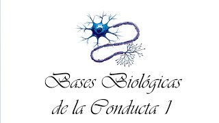 Bases Biológicas de la Conducta 1 [upl. by Ahsemat559]