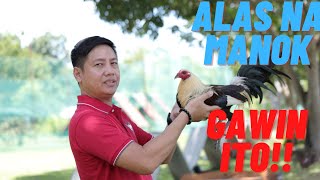 SABONG TIPS Paano Gumawa Ng Alas Na Manok Panabong [upl. by Tharp]