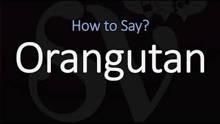 How to Pronounce Orangutan CORRECTLY [upl. by Rusert398]