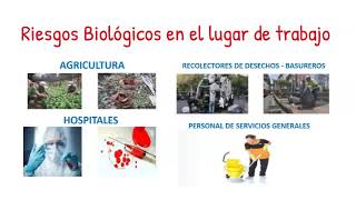 RIESGOS BIOLOGICOS [upl. by Gaudette]