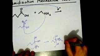 How to Make Amides Mechanism [upl. by Chilt796]