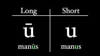 The Latin Alphabet  Vowel Pronunciation [upl. by Mylo]