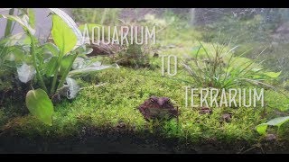 Aquarium to Terrarium [upl. by Vrablik]