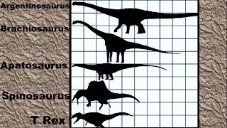 Dinosaur Size Comparison 2D [upl. by Eirrok]