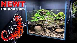 NEWT PALUDARIUM WATERFALL SETUP MOSS amp DETAILS  MD FISH TANKS [upl. by Tymes]