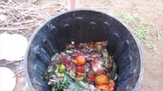 How to start a compost bin [upl. by Nalorac]