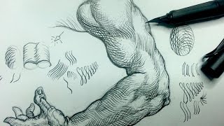 Pen amp Ink Drawing Tips  How add crosshatching to an arm [upl. by Kinzer]