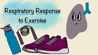 Respiratory Response To Exercise  Respiratory Physiology [upl. by Nahtad]