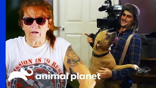 Behind The Scenes Of Villalobos Dog Rescues With Tia Torres  Pit Bulls amp Parolees [upl. by Refinej]