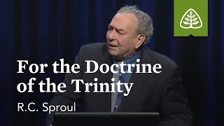 RC Sproul For the Doctrine of the Trinity [upl. by Iturk]