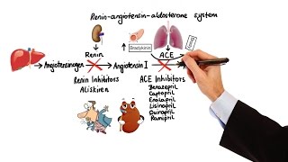 Pharmacology  HYPERTENSION amp ANTIHYPERTENSIVES MADE EASY [upl. by Yelrahs]