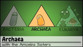 Archaea [upl. by Brigitta]