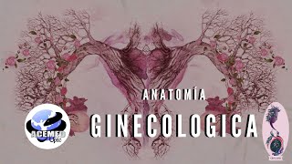 ANATOMÍA GINECOLÓGICA ACEMED UPTC [upl. by Winfrid333]