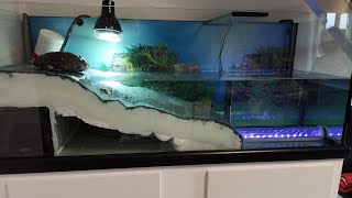 Aquarium pour tortue  Partie 2 LAquaterrarium [upl. by Nuris]