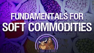 Fundamentals for Soft Commodities  how to trade agricultural commodities [upl. by Eeldivad]