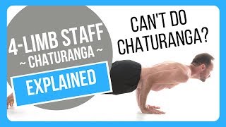 How To Properly Do Chaturanga Dandasana [upl. by Gerge550]