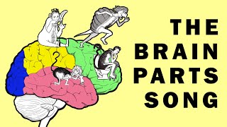 Parts of the Brain Song [upl. by Gemoets]