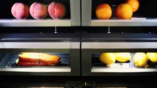 JennAir 42inch BuiltIn French Door Refrigerator JF42NXFXDE  Goemans Product Spotlight [upl. by Bowden]