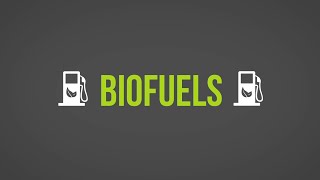 Biofuels 101 [upl. by Enier260]