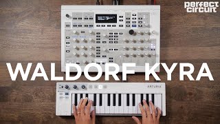 Waldorf Kyra Virtual Analog Synthesizer Sounds [upl. by Omar]