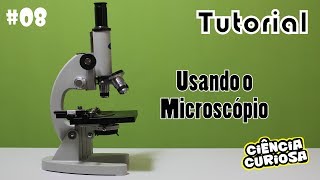 Tutorial Como Usar um Microscópio [upl. by Erusaert]