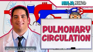 Circulatory System  Pulmonary Circulation [upl. by Jenny]