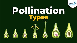 Types of Pollination  Dont Memorise [upl. by Ruffi805]