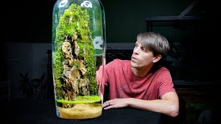 Giant Moss Dripwall Terrarium with a Pond [upl. by Aniger]