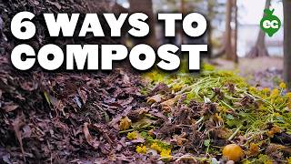 6 Different Ways To Compost No Matter Where You Live [upl. by Suirad]