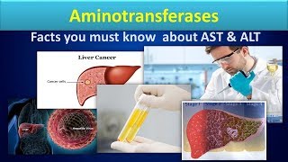 AminotransferaseClear overview about ASTALT [upl. by Arella]