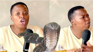 Sne Mseleku Xposing Mangwabe and Makhumalo 🐍 [upl. by Weiman682]