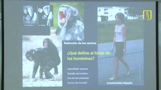 El caso singular de los neandertales [upl. by Nastassia]