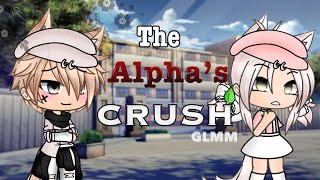 The Alpha’s Crush Gacha Life GLMM [upl. by Antin174]