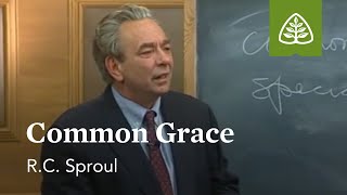 Common Grace Foundations  An Overview of Systematic Theology with RC Sproul [upl. by Auka]