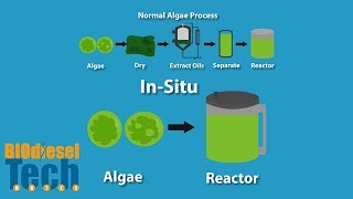 Biodiesel Production Methods [upl. by Aroon]